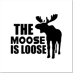 Moose - The Moose is loose Posters and Art